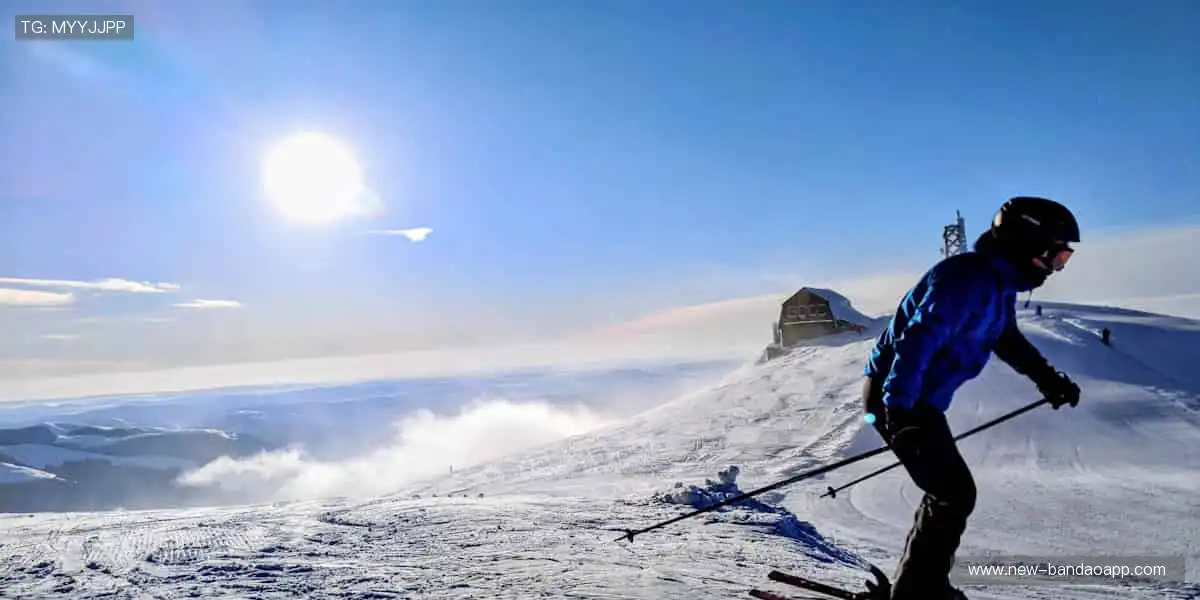 🏅 比分跳动,你的心跳与赛事同频共振!💓